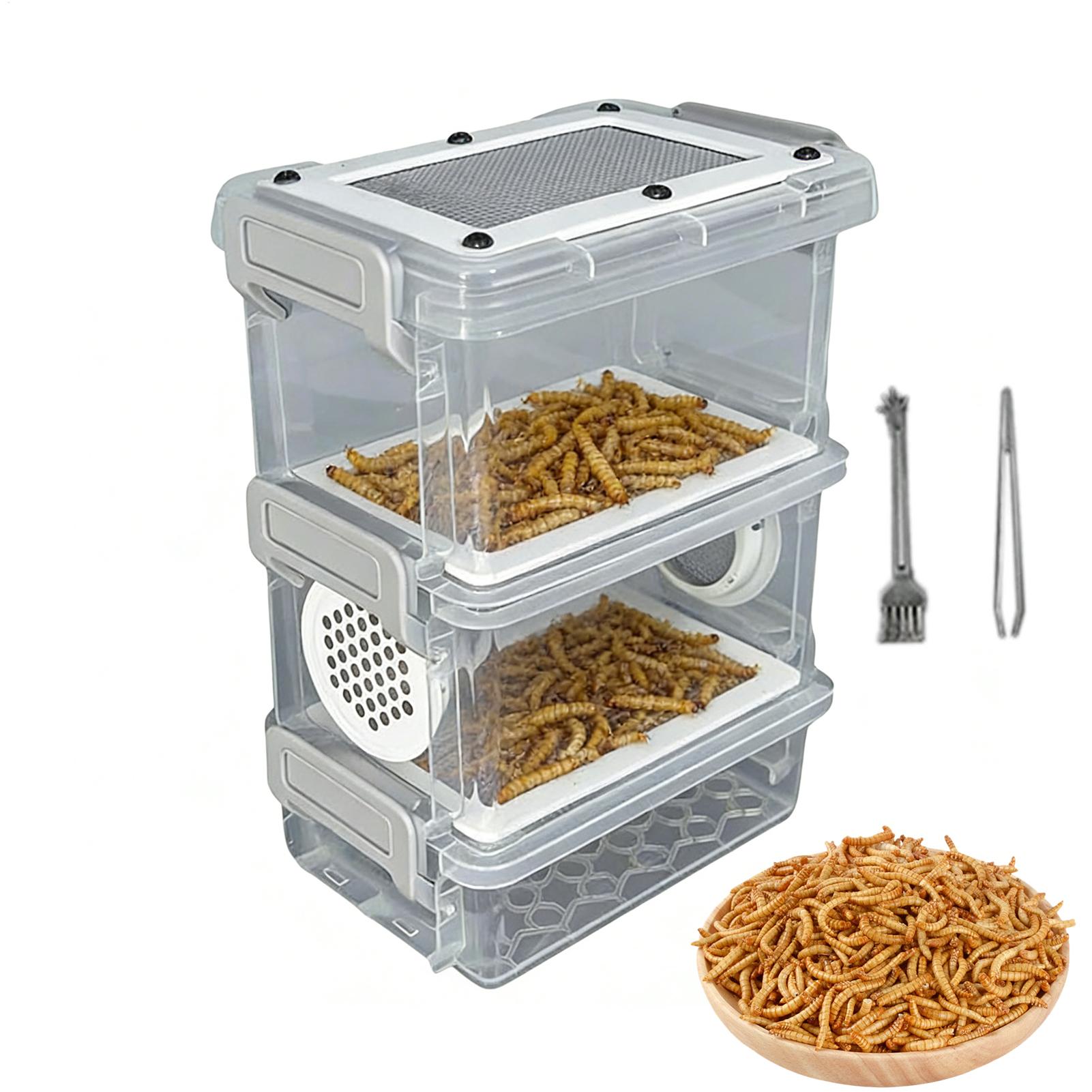 Science Hobbyist - Kit Pemeliharaan Mealworm 3-Lapisan, Kotak Pemberi