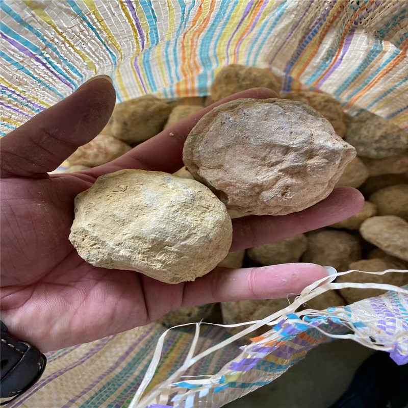 Break Your Own Geodes batu aki - Geode Crystal Break ulasan dan harga
